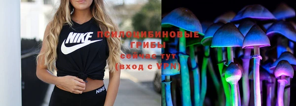 тгк Кулебаки