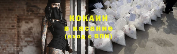 шишки Кукмор