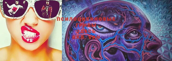 тгк Кулебаки