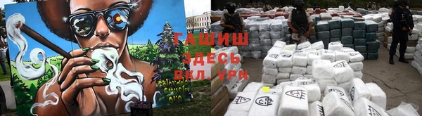 шишки Кукмор