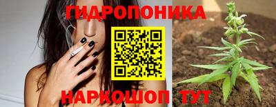 трава Кингисепп
