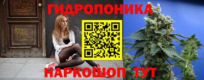 крисы Кинель