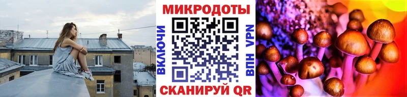 Псилоцибиновые грибы Psilocybine cubensis  купить наркотики цена  Сунжа 