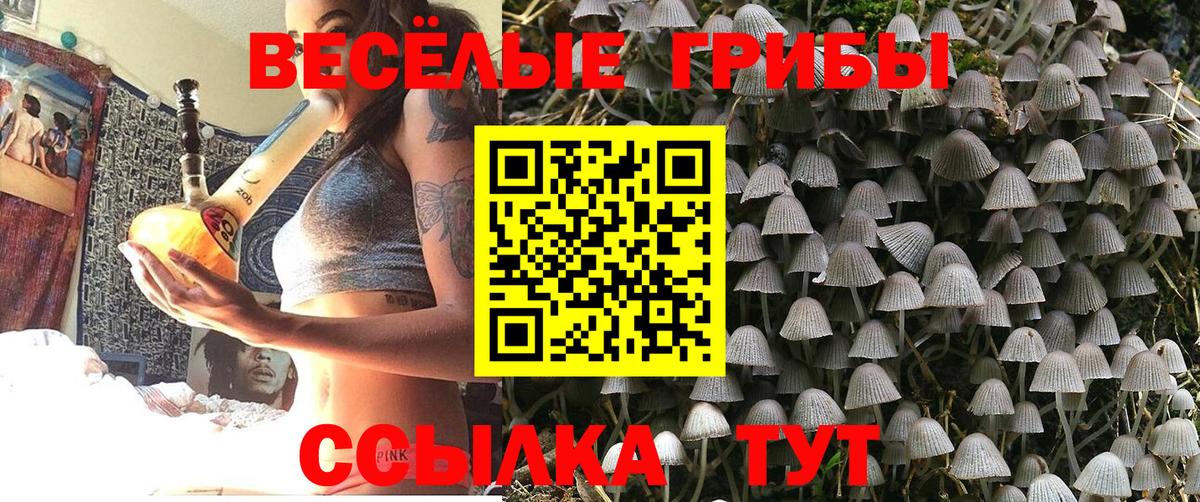 Галлюциногенные грибы Cubensis  Вход с VPN  Галлюциногенные грибы Psilocybine cubensis  Сунжа 