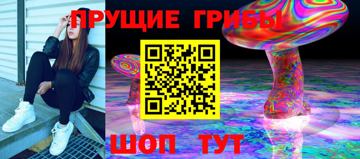 Псилоцибиновые грибы Psilocybine cubensis  Псилоцибиновые грибы Magic Shrooms  Сунжа 